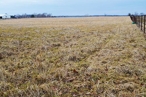 Property photo 28 - REAL ESTATE & FARM EQUIPMENT AUCTION IN ALLEN COUNTY, INDIANA